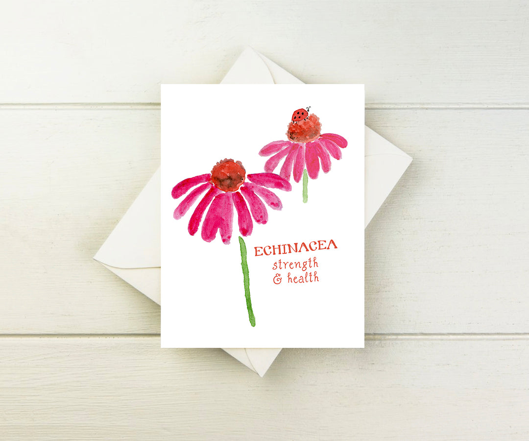 Echinacea Note Cards