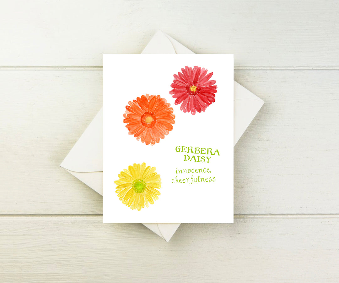 Gerbera Daisy Note Cards