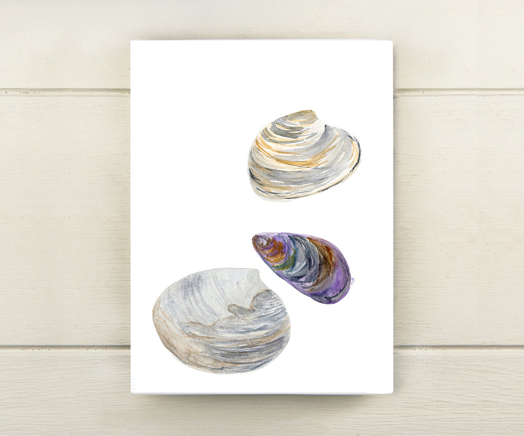 Maine Shells Card