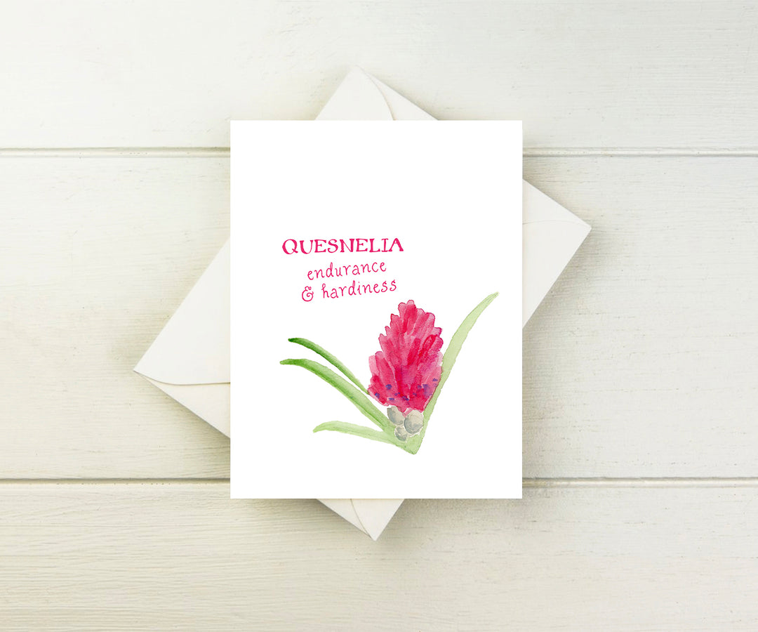 Quesnelia Note Cards