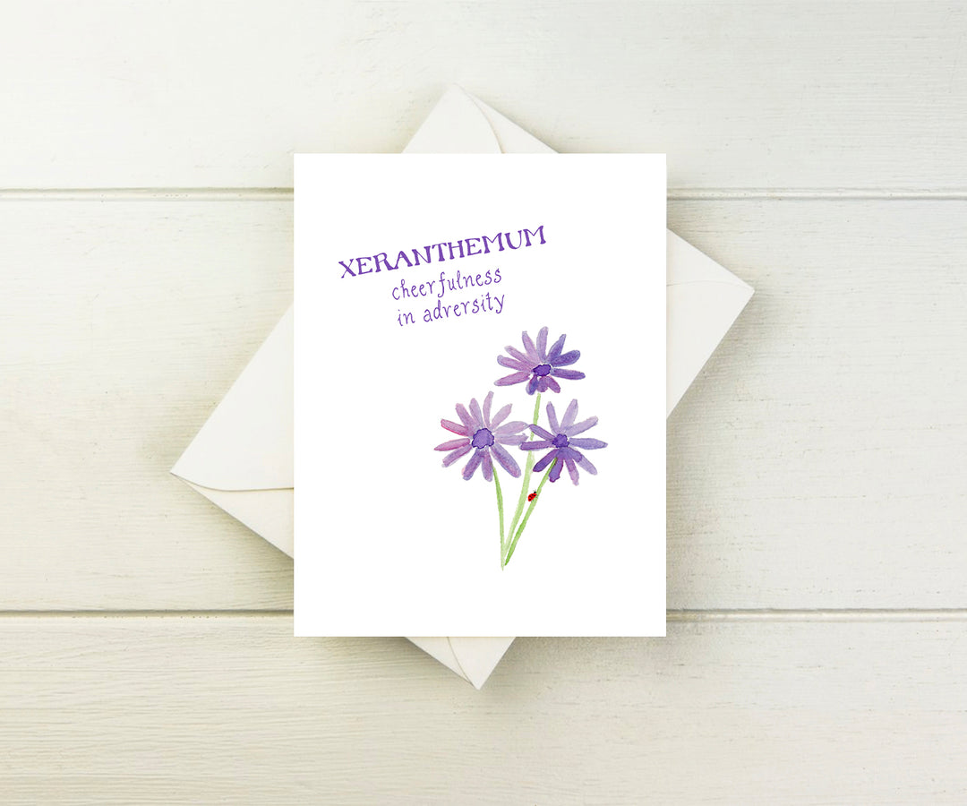 Xeranthemum Note Cards