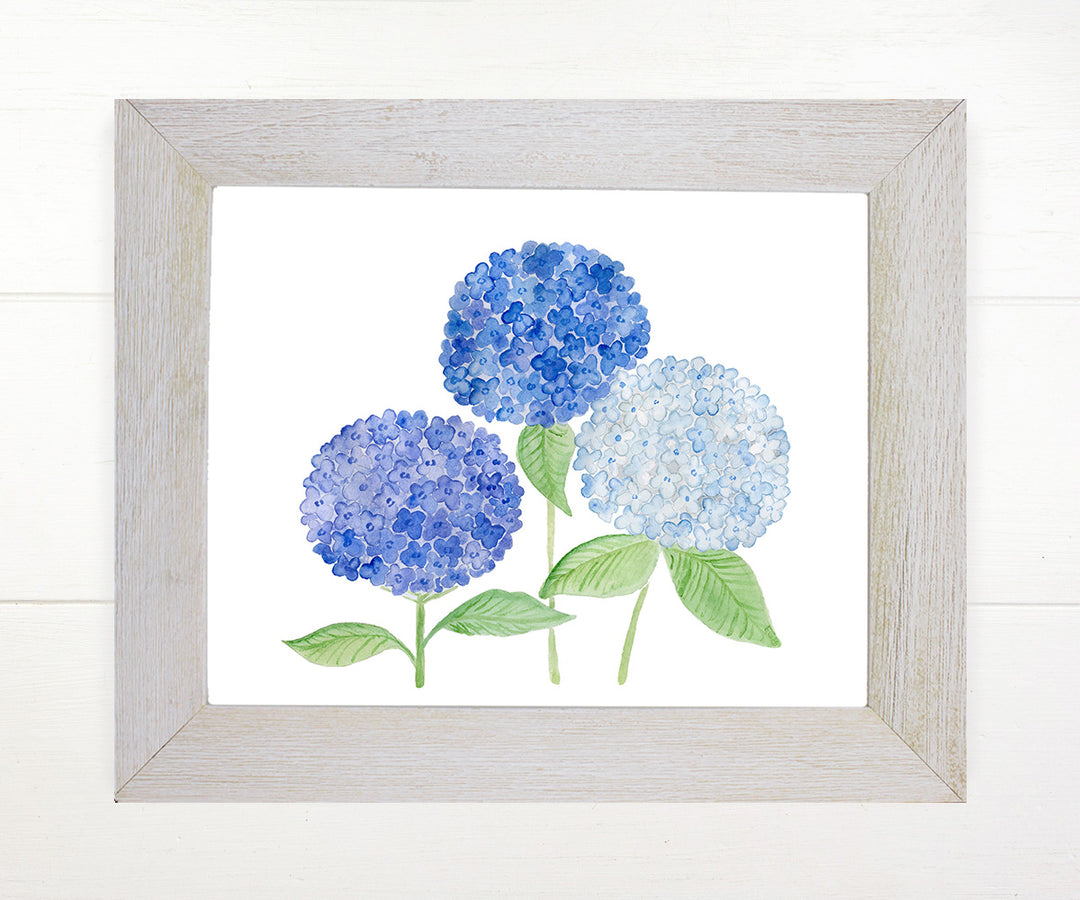 Beautiful Blue Hydrangeas Floral Print