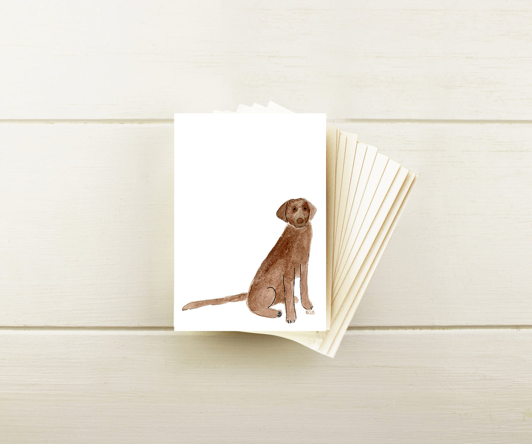 Chocolate Lab Note Cards