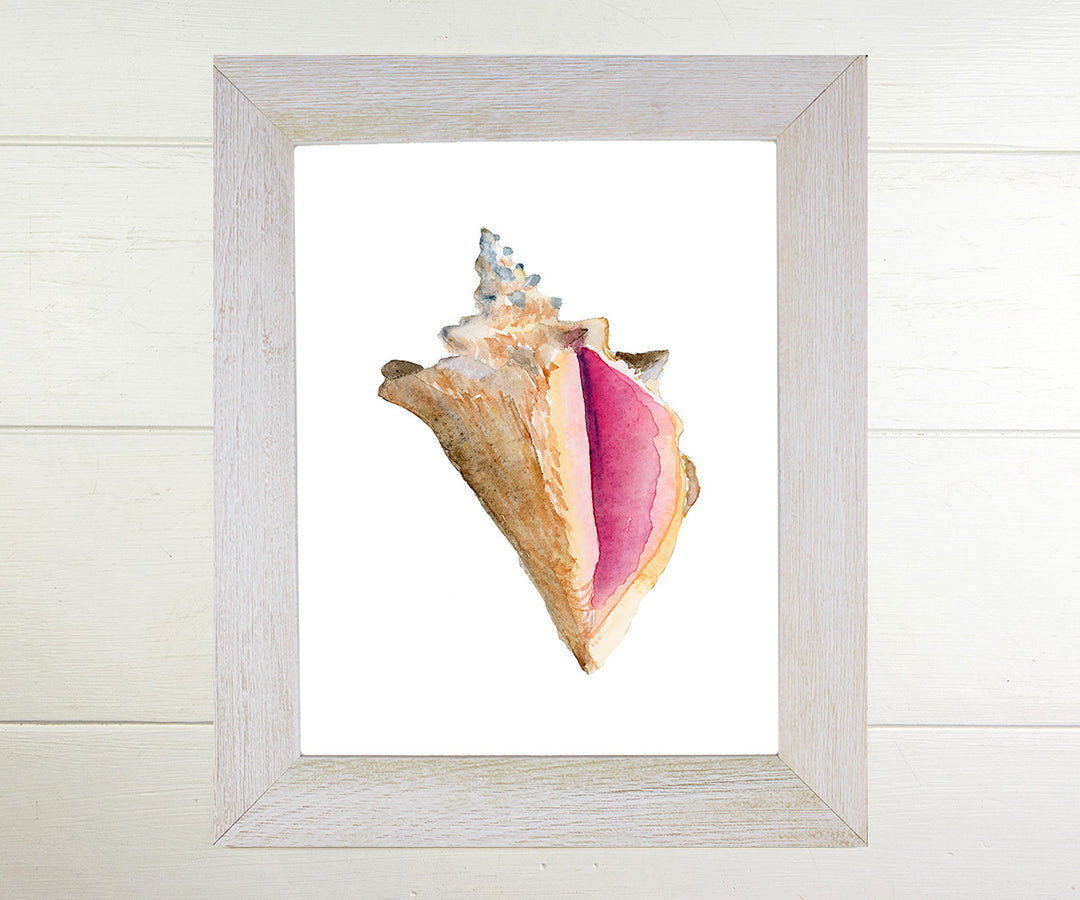 Conch Shell Print