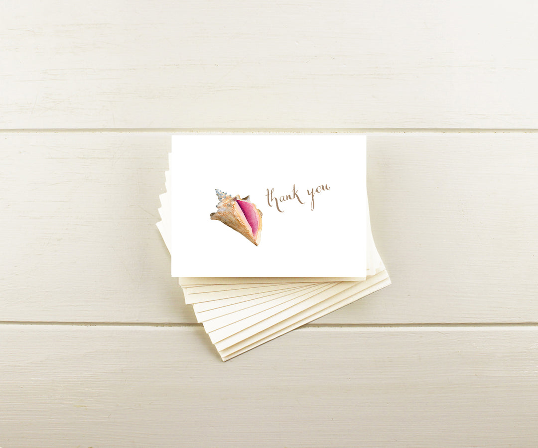 Conch Shell Thank You Note Cards