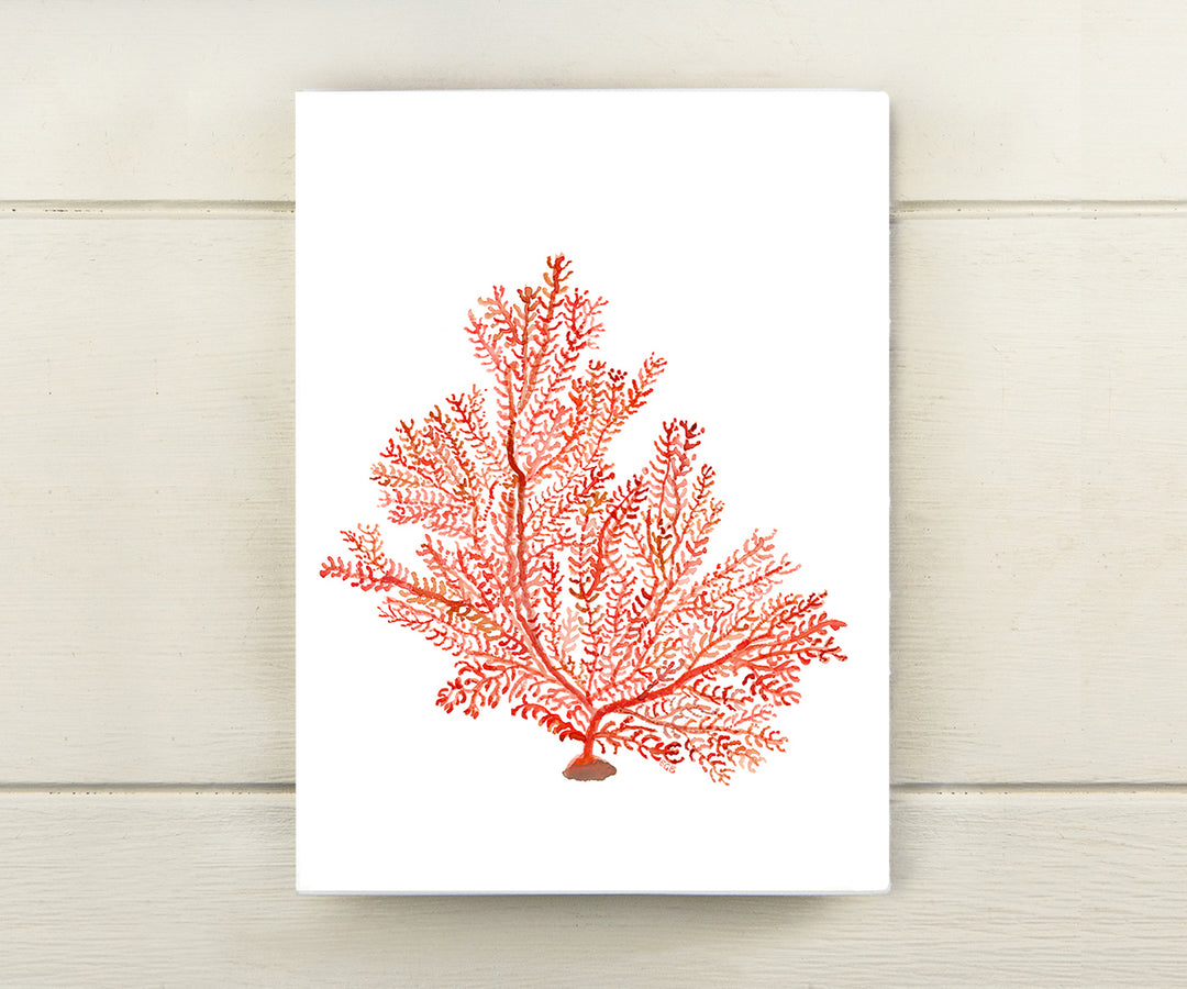 Red Coral Card