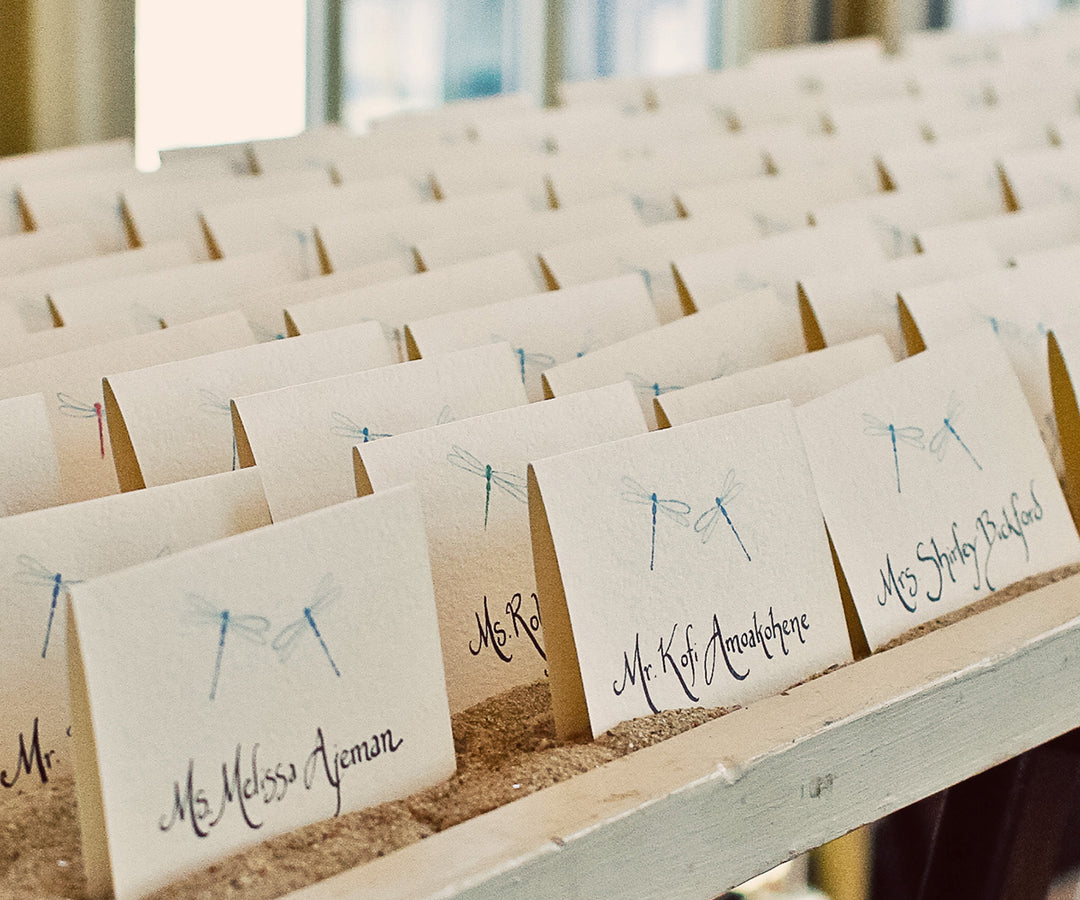 Dragonflies place card photo by Rachel Halsey