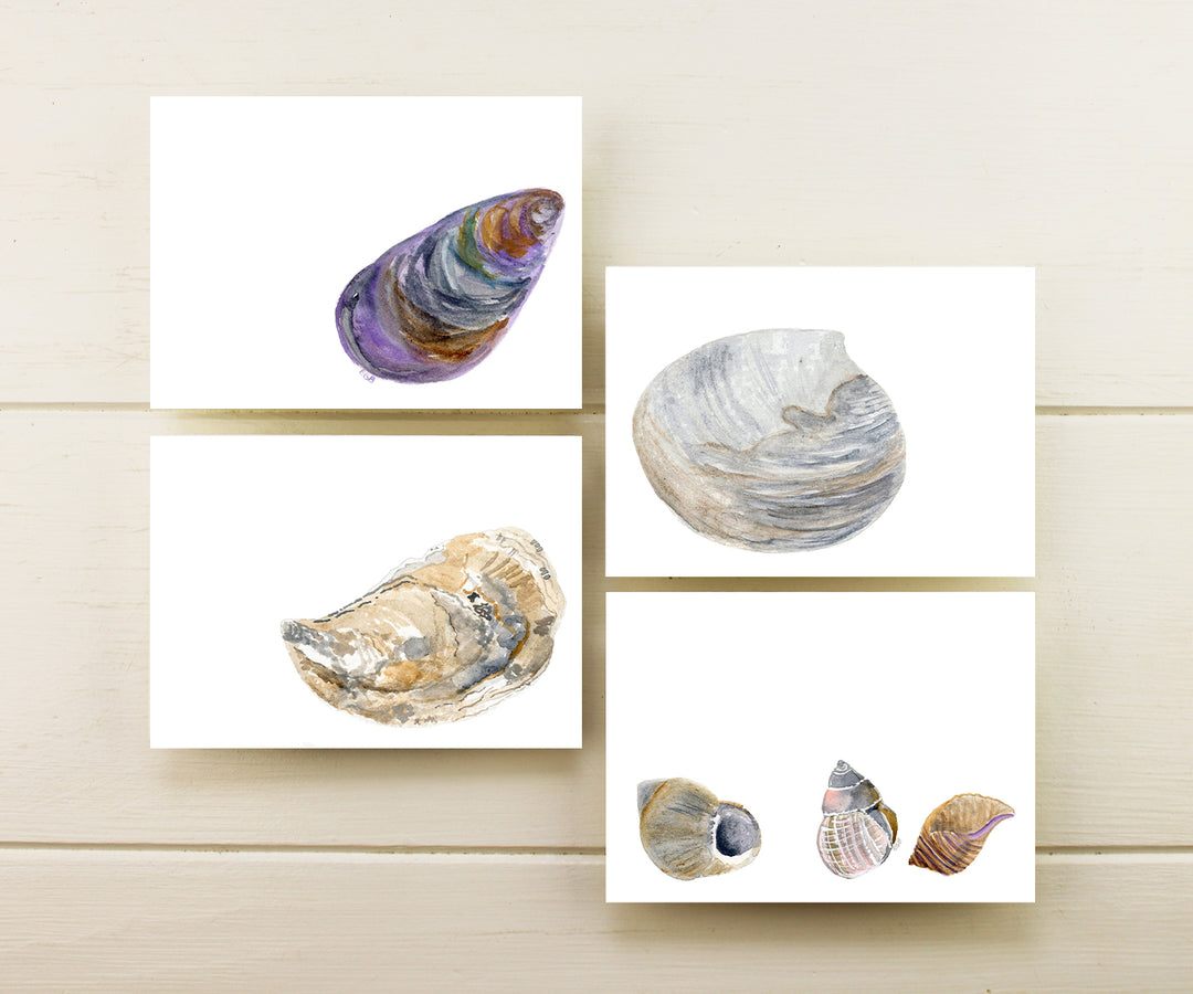 Local Shells Note Cards