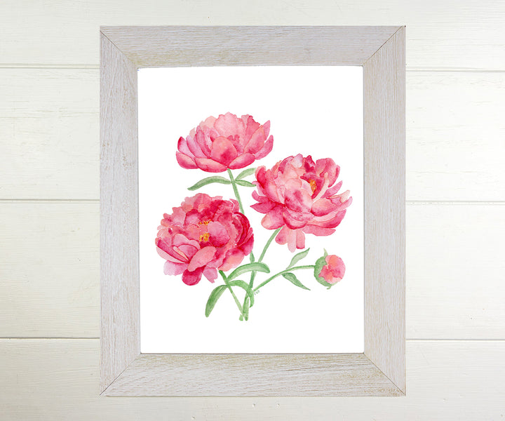 Perfect Pink Peonies Floral Print