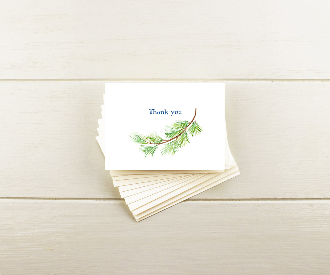 Pine Bough Thank You Note Cards