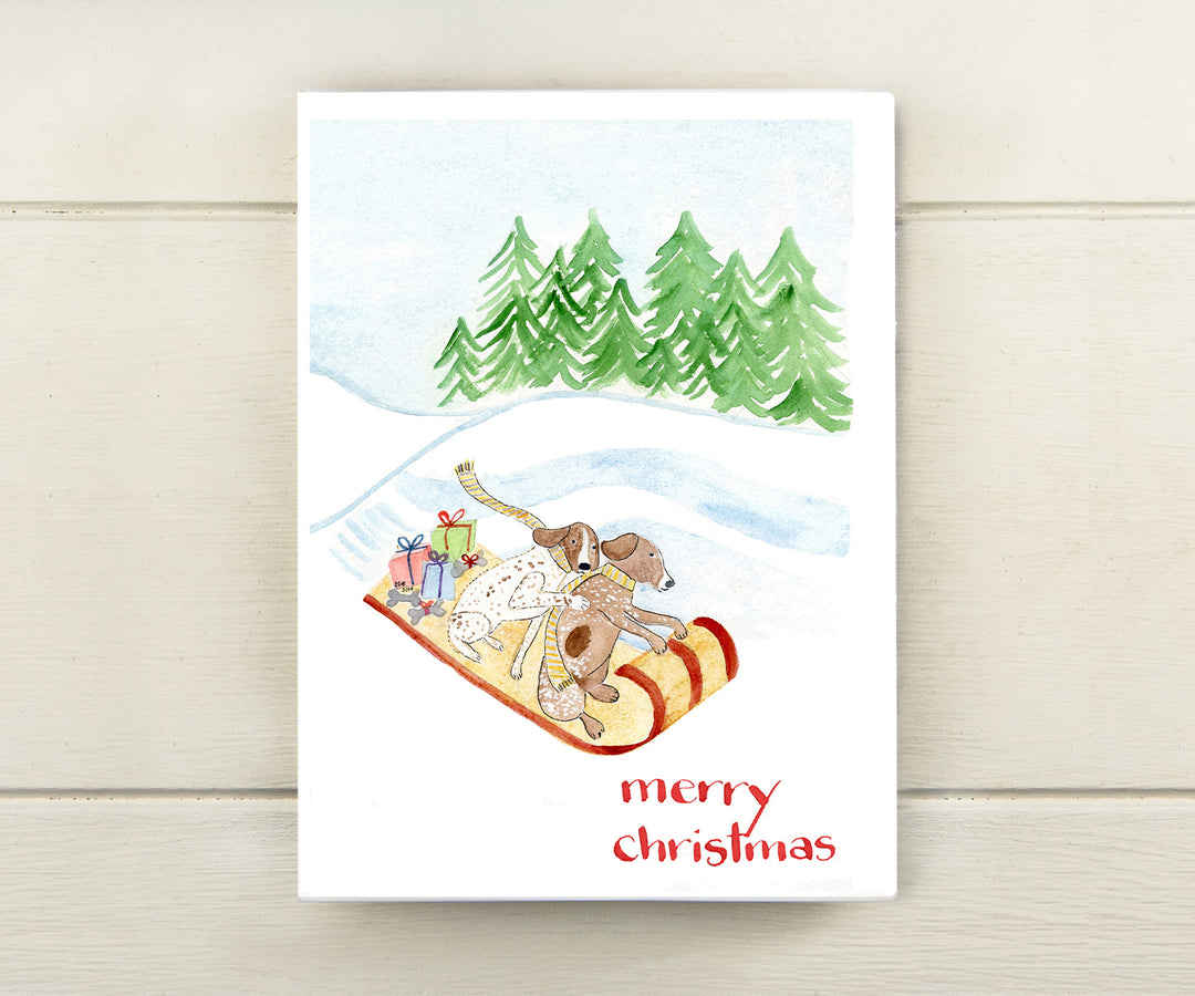 Sledding Dogs Holiday Card