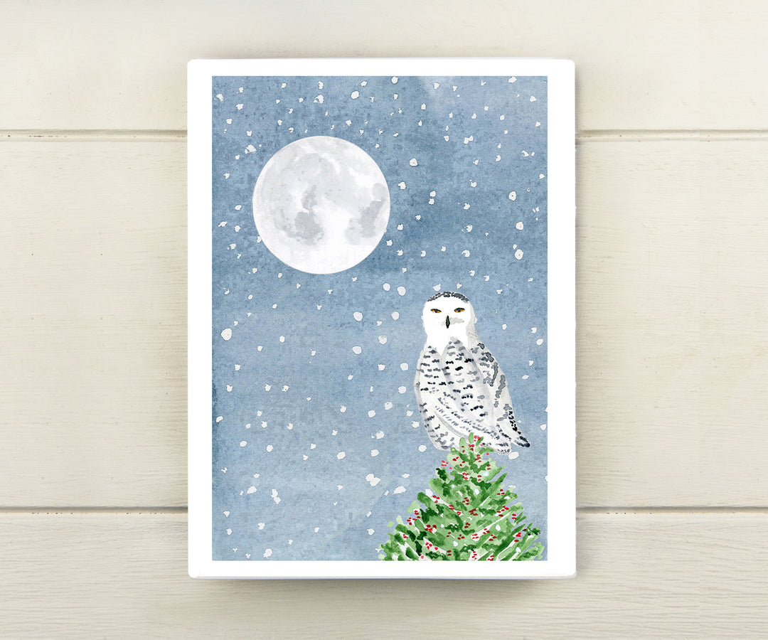 Snowy Owl Holiday Card